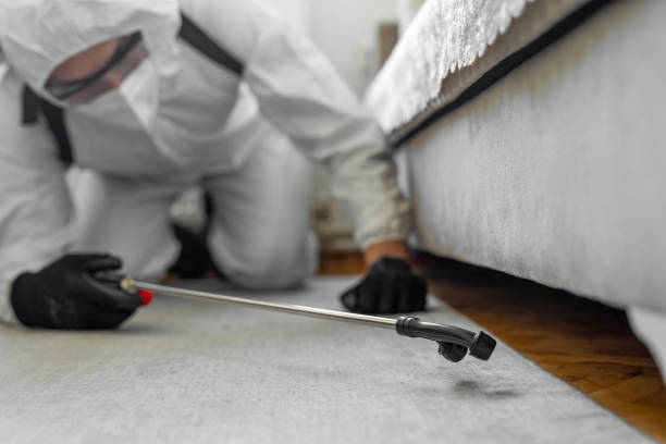 Professional Termite Control technician working in Hamilton, MT